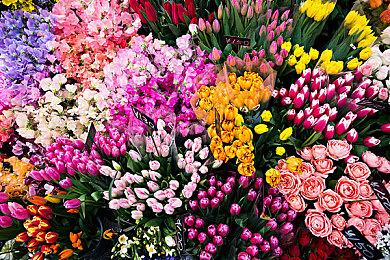 《战锤：末世鼠疫2》将重做对战系统优化并升级机制