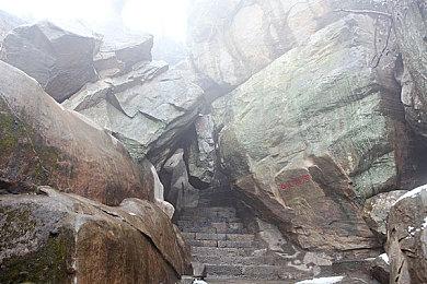 《蜘蛛侠：纵横宇宙》超前观影口碑获盛赞 烂番茄mtc高分炸裂开局